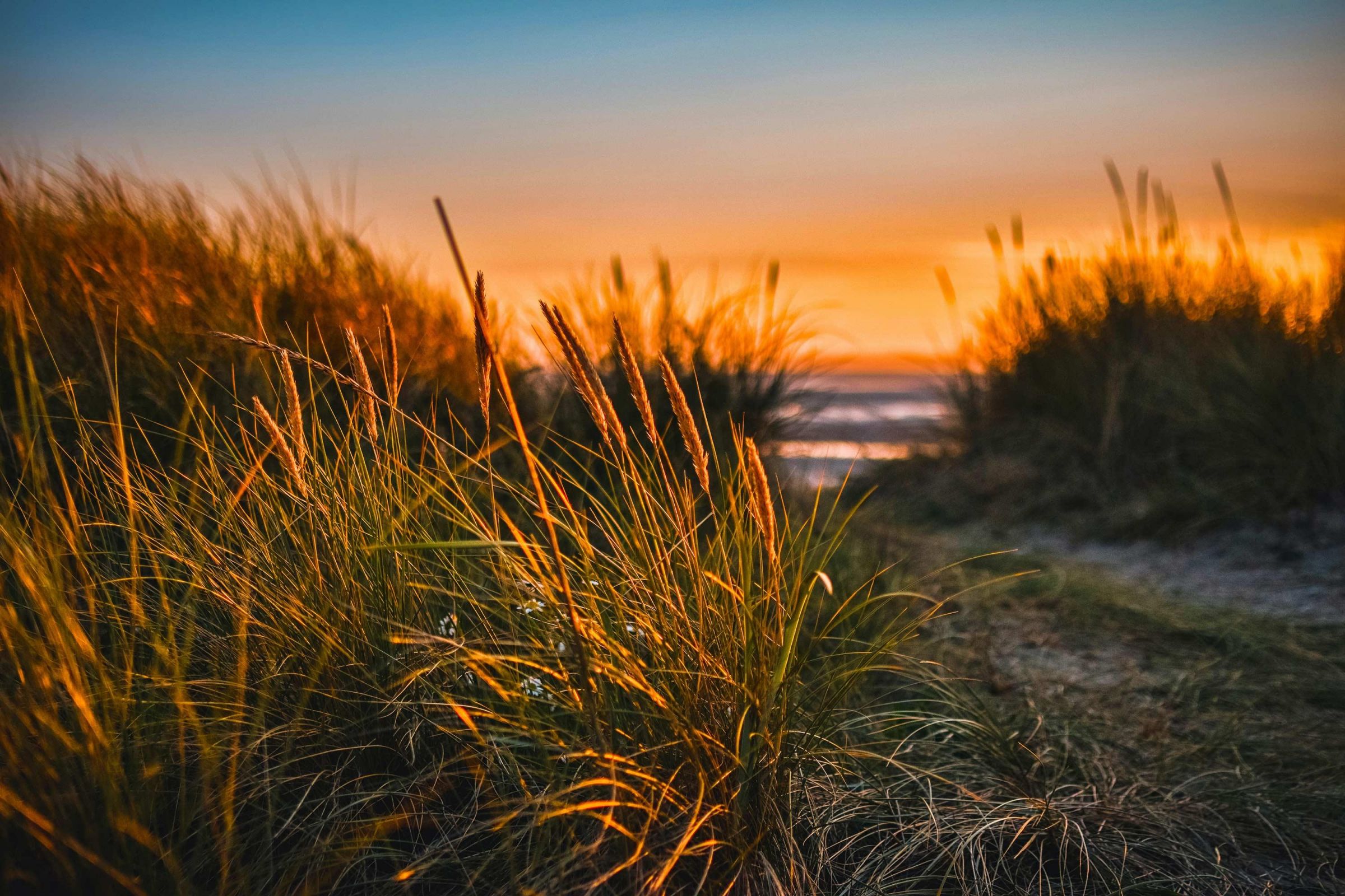 Sonnenuntergang am Strand in Sylt